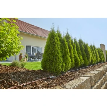 Gardena Micro Drip Startset M Voor Rijplanten (excl Timer) 6 Gardena Micro Drip Startset M Voor Rijplanten (excl Timer) - Afbeelding 4