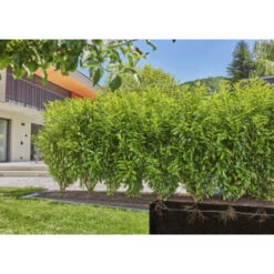 Gardena Micro Drip Startset Struik/haag 25 Meter -Gardena 123 1055